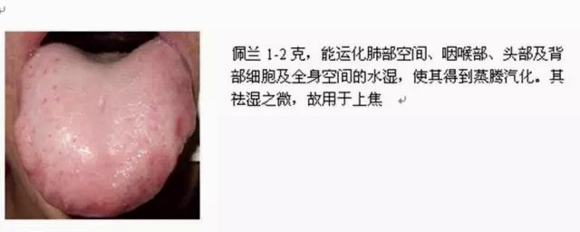 人体空间医学