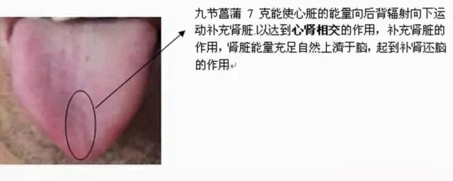人体空间医学 人体空间医学