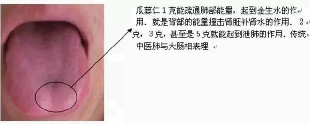 人体空间医学
