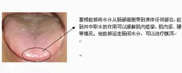 人体空间医学