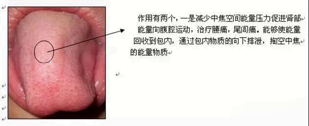 人体空间医学