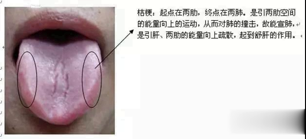 人体空间医学