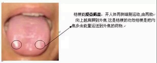 人体空间医学