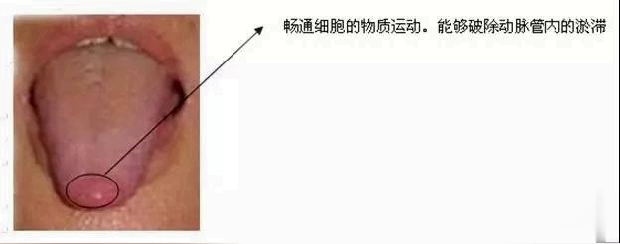 人体空间医学