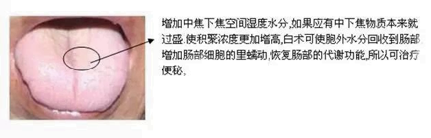 人体空间医学