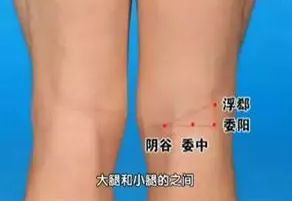 神奇的人体三角区，养好了，百病难扰！
