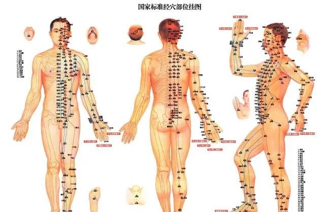 人体100个大穴与30个腧穴