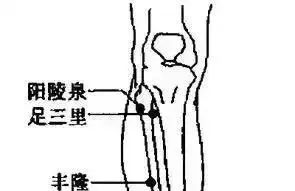 中医基本常识和10大重要穴位的功能