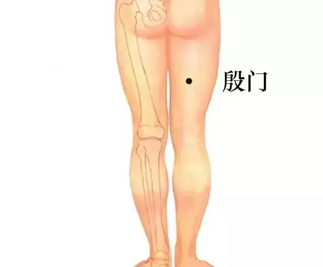 中医基本常识和10大重要穴位的功能