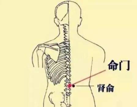 中医基本常识和10大重要穴位的功能