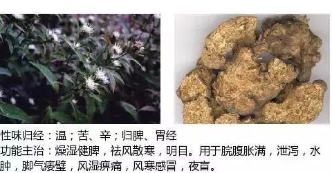 500多种中草药图(附主治功效) 500多种中草药图(附主治功效)