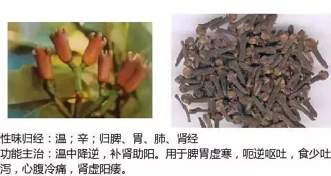 500多种中草药图(附主治功效) 500多种中草药图(附主治功效)