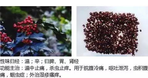 500多种中草药图(附主治功效) 500多种中草药图(附主治功效)