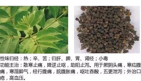 500多种中草药图(附主治功效) 500多种中草药图(附主治功效)