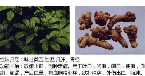 500多种中草药图（附主治功效）