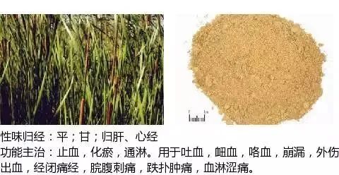 500多种中草药图（附主治功效）
