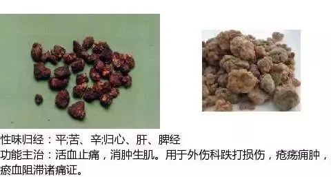 500多种中草药图（附主治功效）