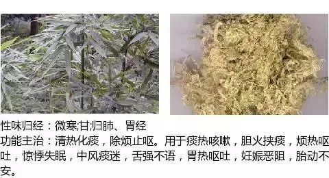 500多种中草药图（附主治功效）
