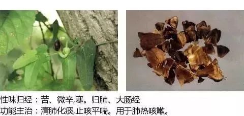 500多种中草药图（附主治功效）