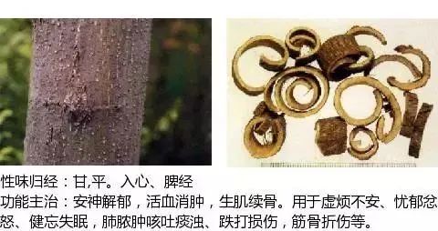 500多种中草药图（附主治功效）