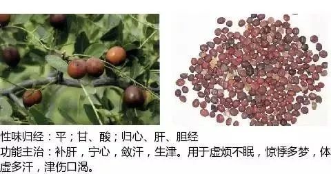 500多种中草药图（附主治功效）