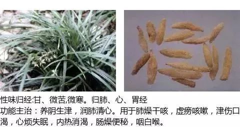 500多种中草药图（附主治功效）